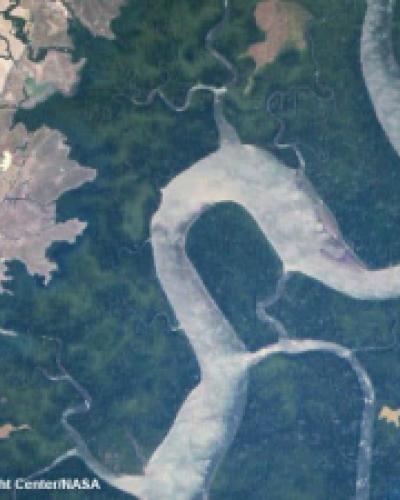An aerial shot of a river surrounded by vegetation